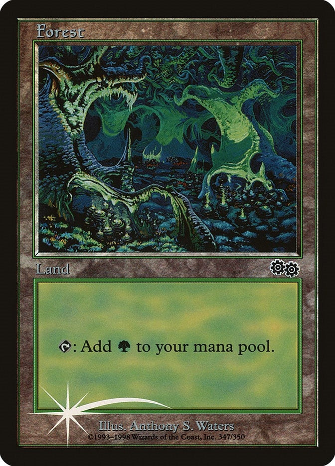 Image for Forest (1999) (Arena Promos) (347) - Magic: The Gathering