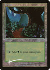 Image for Forest (2001 Beta) (Arena Promos) - Magic: The Gathering