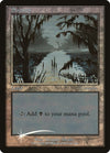 Image for Swamp (2001) (Arena Promos) - Magic: The Gathering