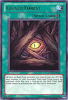 Image for Closed Forest (5D's Duel Transer) (Yu-Gi-Oh! Video Game Promotional Cards) (YDT1-EN002) - YuGiOh