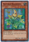 Image for Naturia Ragweed (Hidden Arsenal 4) (HA04-EN050) - YuGiOh