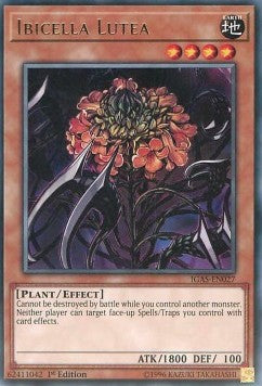 Ibicella Lutea - Ignition Assault (Rare) [IGAS-027]