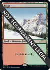 Image for Taiga (30th Anniversary Edition) (278) - Magic: The Gathering