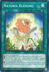 Image for Naturia Blessing (Darkwing Blast) (DABL-EN064) - YuGiOh