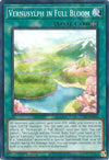 Image for Vernusylph in Full Bloom (Darkwing Blast) (DABL-EN066) - YuGiOh