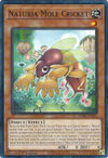 Image for Naturia Mole Cricket (Darkwing Blast) (DABL-EN020) - YuGiOh
