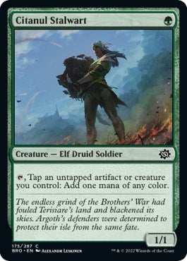 Image for Citanul Stalwart (The Brothers' War) (175) - Magic: The Gathering
