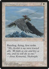 Image for Kjeldoran Skyknight (Ice Age) - Magic: The Gathering