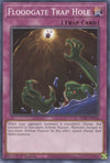 Image for Floodgate Trap Hole (Structure Deck: Beware of Traptrix) (SDBT-EN032) - YuGiOh