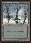 Image for Snow-Covered Swamp (Ice Age) (351) - Magic: The Gathering