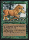 Image for Tarpan (Ice Age) - Magic: The Gathering