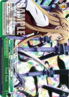 Image for Final Push (Sword Art Online Animation 10th Anniversary) (SAO/S100-E055 CR) - Weiss Schwarz