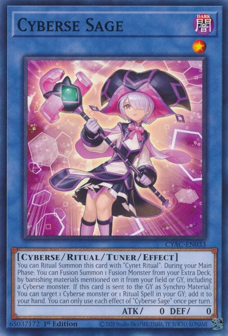 Image for Cyberse Sage (Cyberstorm Access) (CYAC-EN033) - YuGiOh