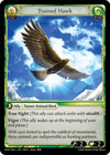 Image for Trained Hawk (Dawn of Ashes Alter Edition) (228) - Grand Archive TCG