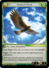 Image for Trained Hawk (Dawn of Ashes Prelude) (098) - Grand Archive TCG