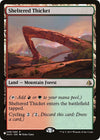 Image for Sheltered Thicket (The List Reprints) (248) - Magic: The Gathering