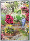 Image for Sprigatito (SV02: Paldea Evolved) (196/193) - Pokemon