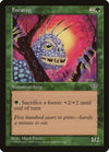 Image for Foratog (Mirage) - Magic: The Gathering