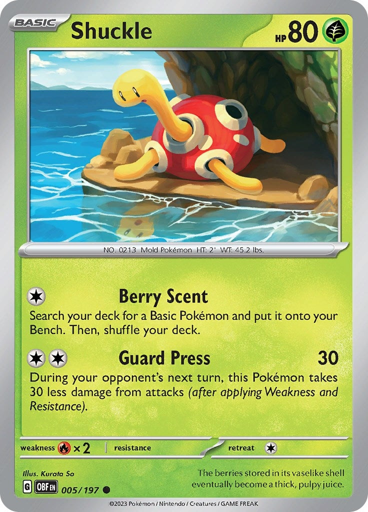 Image for Shuckle (SV03: Obsidian Flames) (005/197) - Pokemon