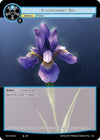 Image for Clairvoyant Iris (Clash of the Star Trees) (CST-043 N) - Force of Will