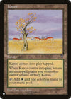 Image for Karoo (VIS) (The List Reprints) - Magic: The Gathering
