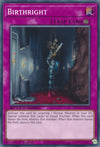 Image for Birthright (Speed Duel: Streets of Battle City) (SBC1-ENG18) - YuGiOh
