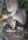 Image for Dutiful Griffin Art Card (Art Series: Wilds of Eldraine) (3) - Magic: The Gathering