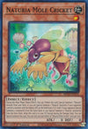 Image for Naturia Mole Cricket (25th Anniversary Tin: Dueling Heroes Mega Pack) (MP23-EN170) - YuGiOh