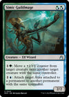 Image for Simic Guildmage (Ravnica Remastered) (223) - Magic: The Gathering