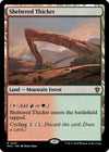 Image for Sheltered Thicket (Commander: Murders at Karlov Manor) (291) - Magic: The Gathering