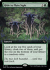 Image for Hide in Plain Sight (Extended Art) (Murders at Karlov Manor) (410) - Magic: The Gathering