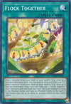 Image for Flock Together (Phantom Nightmare) (PHNI-EN072) - YuGiOh