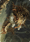 Image for Rot Farm Mortipede Art Card (Art Series: Murders at Karlov Manor) (10) - Magic: The Gathering