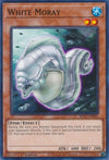 Image for White Moray (Battles of Legend: Chapter 1) (BLC1-EN051) - YuGiOh
