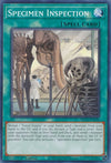 Image for Specimen Inspection (Battles of Legend: Chapter 1) (BLC1-EN136) - YuGiOh