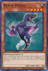 Image for Black Veloci (Speed Duel GX: Midterm Destruction) (SGX4-ENC06) - YuGiOh