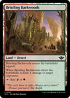 Image for Bristling Backwoods (Outlaws of Thunder Junction) (253) - Magic: The Gathering