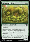 Image for Bristlepack Sentry (Outlaws of Thunder Junction) (156) - Magic: The Gathering