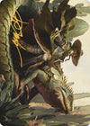 Image for Outcaster Trailblazer Art Card (Gold-Stamped Signature) (Art Series: Outlaws of Thunder Junction) (14) - Magic: The Gathering