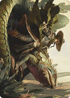 Image for Outcaster Trailblazer Art Card (Art Series: Outlaws of Thunder Junction) (14) - Magic: The Gathering
