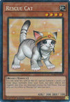 Image for Rescue Cat (Alternate Art) (PCR) (25th Anniversary Rarity Collection II) (RA02-EN001) - YuGiOh