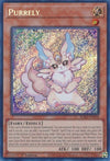 Image for Purrely (Secret Rare) (25th Anniversary Rarity Collection II) (RA02-EN018) - YuGiOh