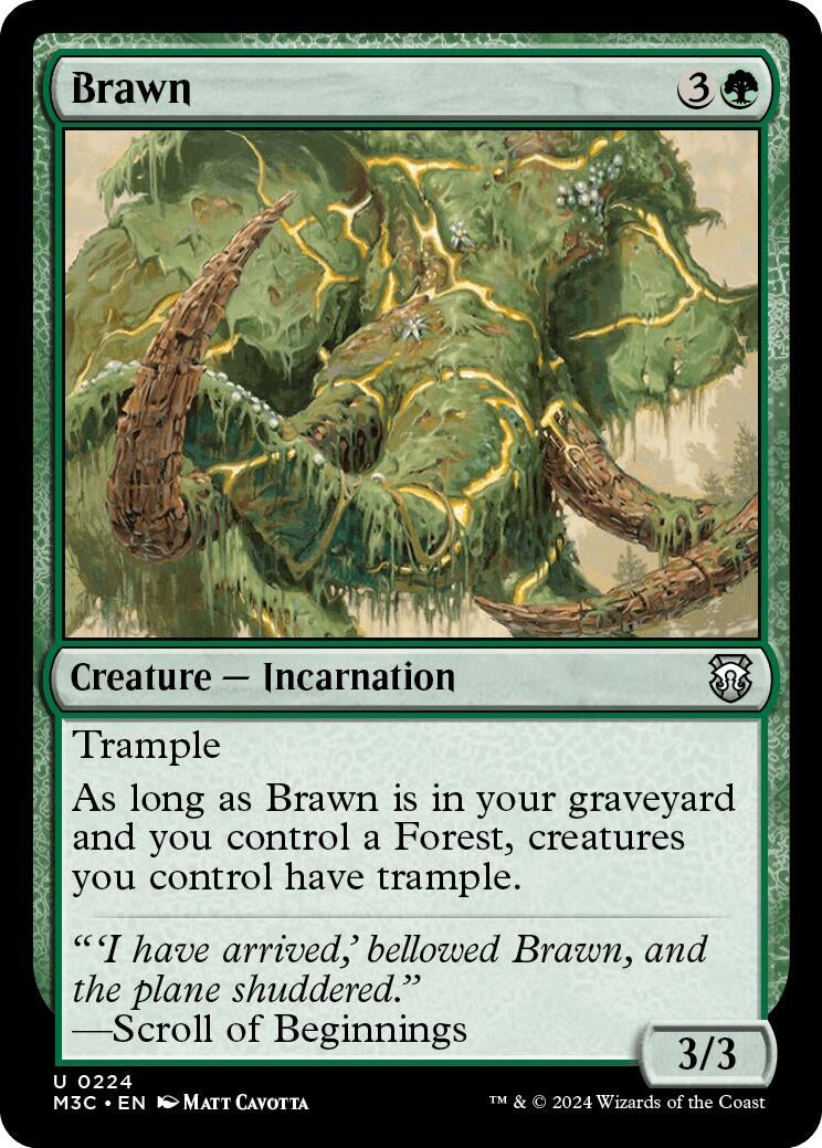 Image for Brawn (Ripple Foil) (Commander: Modern Horizons 3) (224) - Magic: The Gathering
