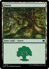 Image for Forest (0378) (Bloomburrow) (378) - Magic: The Gathering