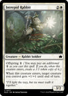 Image for Intrepid Rabbit (Bloomburrow) (17) - Magic: The Gathering