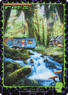 Image for Forest (1656) (Secret Lair Drop Series) (1656) - Magic: The Gathering