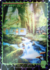 Image for Forest (1656) (Rainbow Foil) (Secret Lair Drop Series) (1656) - Magic: The Gathering