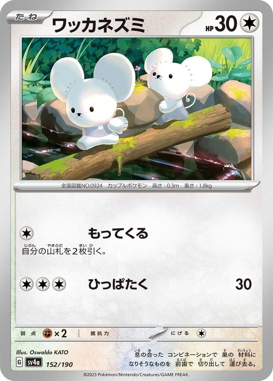 Image for Tandemaus - Pokemon Japan