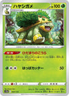 Image for Grotle - Pokemon Japan