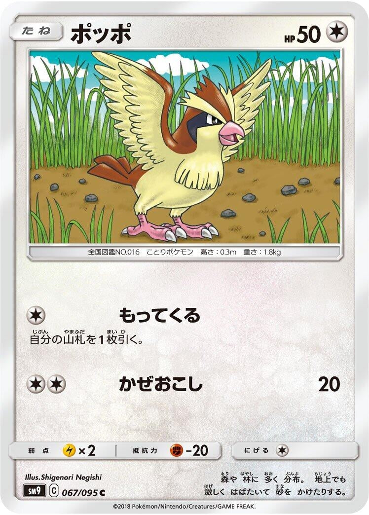 Image for Pidgey (SM9: Tag Bolt) (067/095) - Pokemon Japan